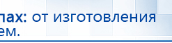 СКЭНАР-1-НТ (исполнение 01 VO) Скэнар Мастер купить в Кстове, Аппараты Скэнар купить в Кстове, Дэнас официальный сайт denasdoctor.ru